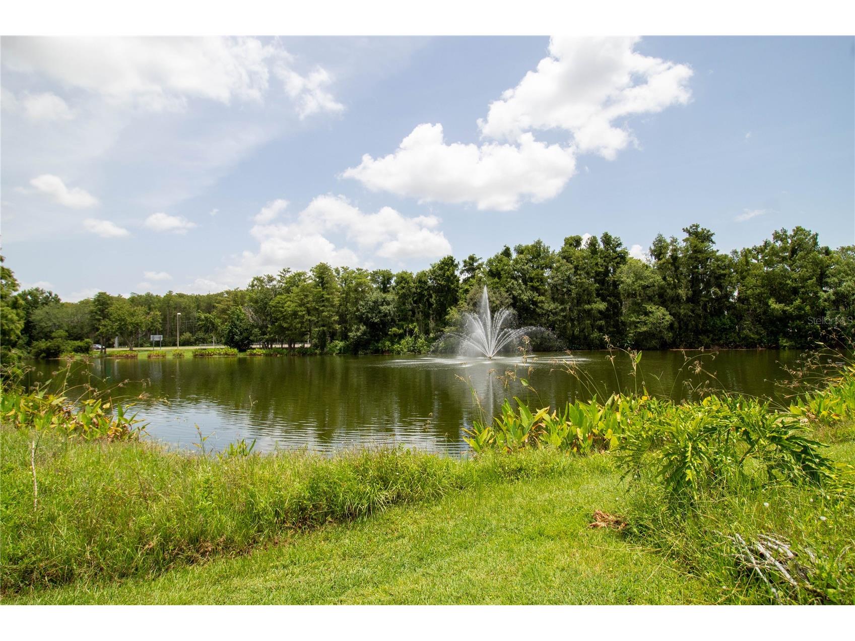 14036 Fairway Island Drive Unit #1535 Orlando FL 32837 S5150995 image31