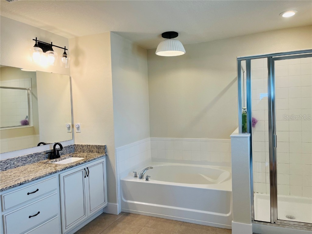 14037 Pecan Orchard Drive Winter Garden FL 34787 O6358007 image17