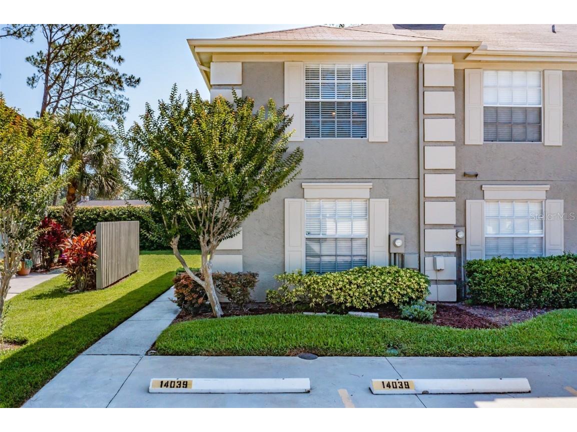 14039 Notreville Way Tampa FL 33624 T3450008 image1
