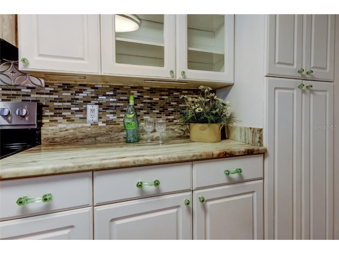 1404 Castleworks Lane Tarpon Springs FL 34689 TB8421479 image30