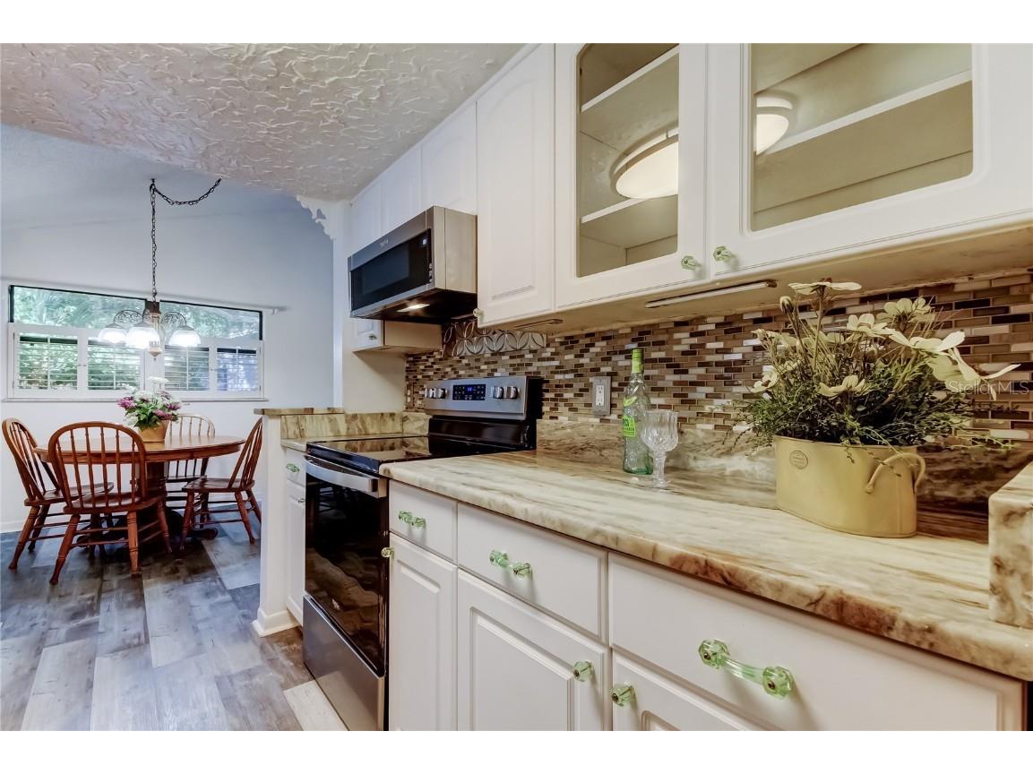 1404 Castleworks Lane Tarpon Springs FL 34689 TB8421479 image33