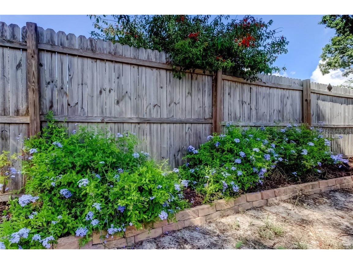 1404 Castleworks Lane Tarpon Springs FL 34689 TB8421479 image42