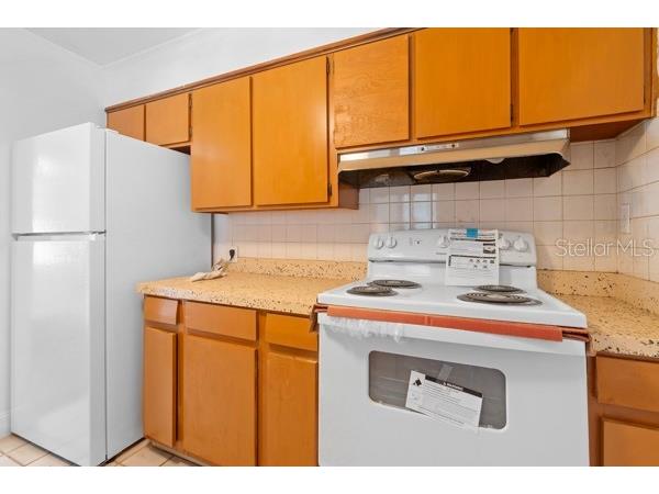 1404 E Alfred Street Tavares FL 32778 O6227506 image25