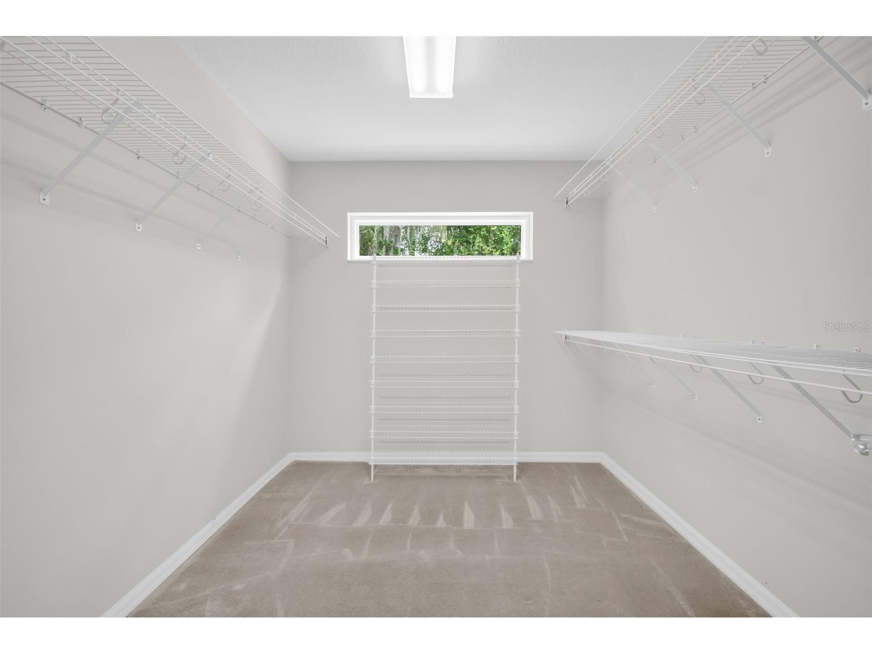 1404 East Lake Woodlands Parkway Oldsmar FL 34677 TB8496474 image49