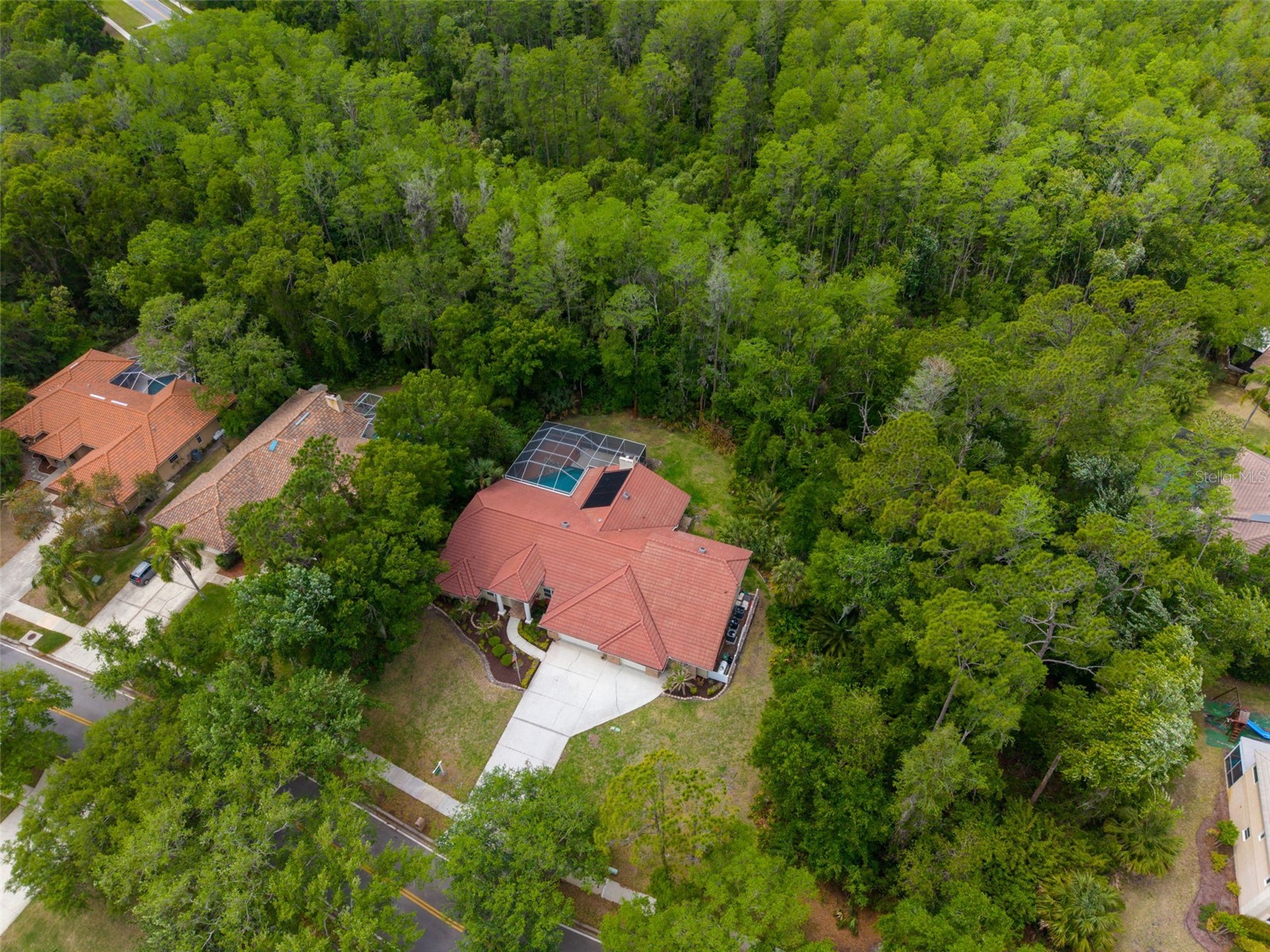 1404 East Lake Woodlands Parkway Oldsmar FL 34677 TB8496474 image73