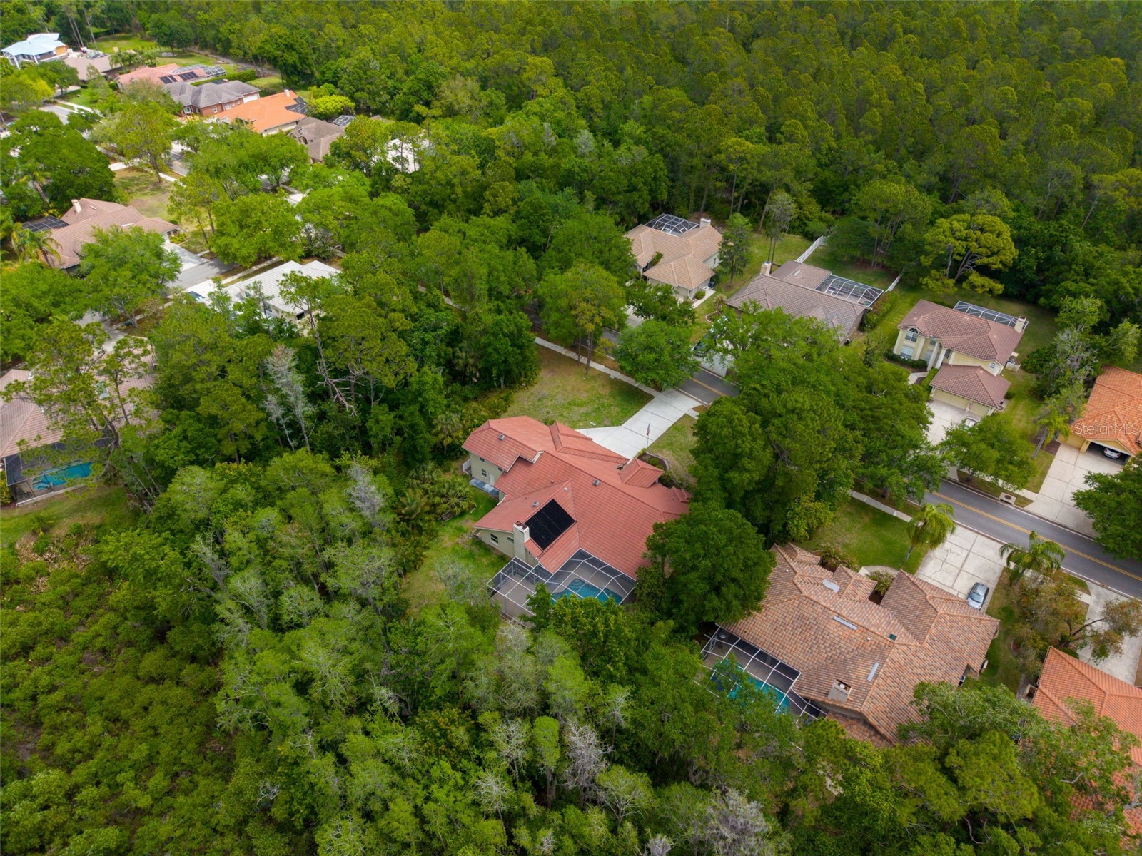1404 East Lake Woodlands Parkway Oldsmar FL 34677 TB8496474 image74