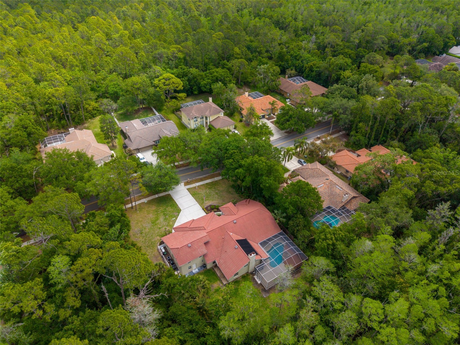1404 East Lake Woodlands Parkway Oldsmar FL 34677 TB8496474 image75