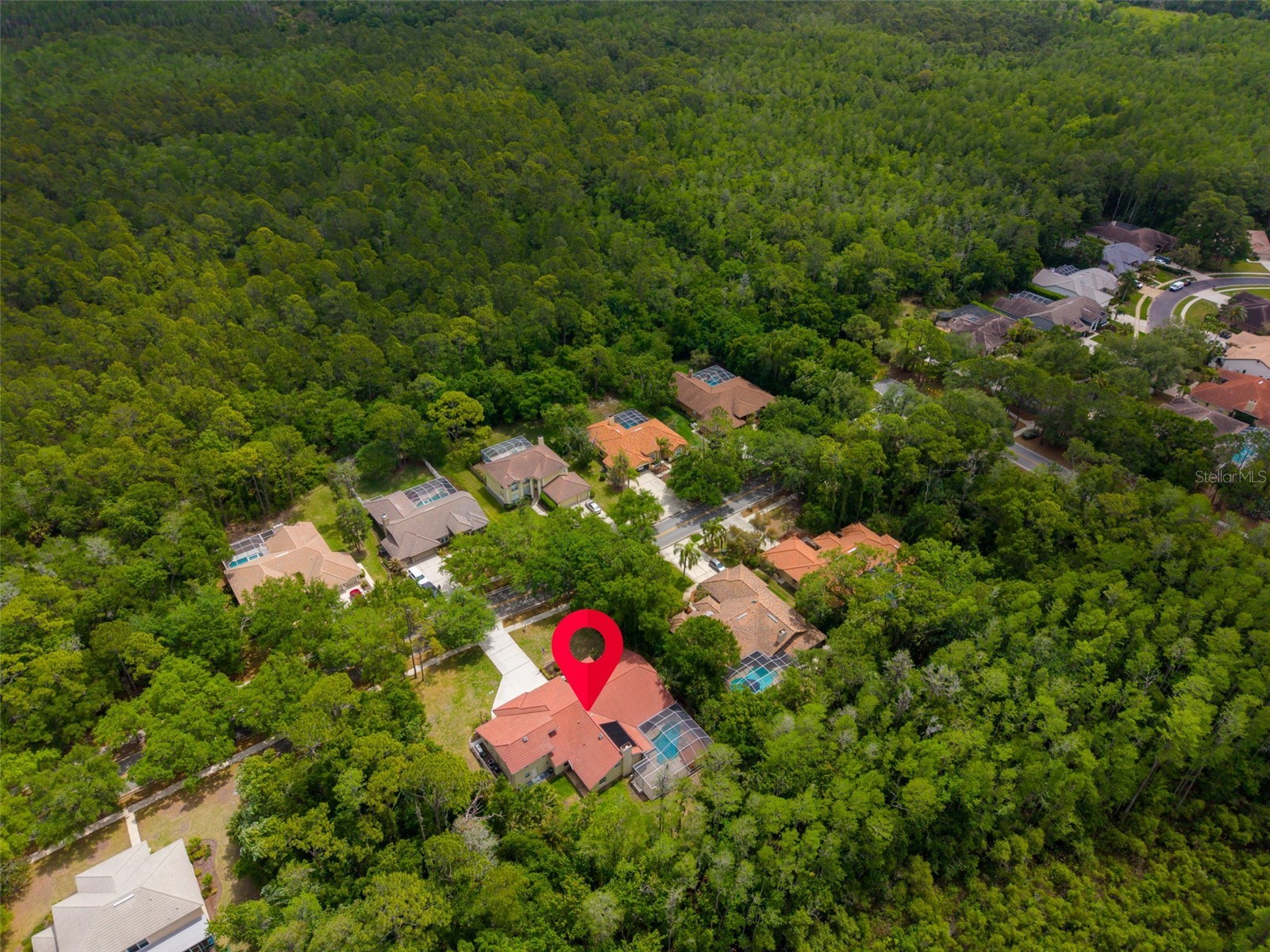 1404 East Lake Woodlands Parkway Oldsmar FL 34677 TB8496474 image76
