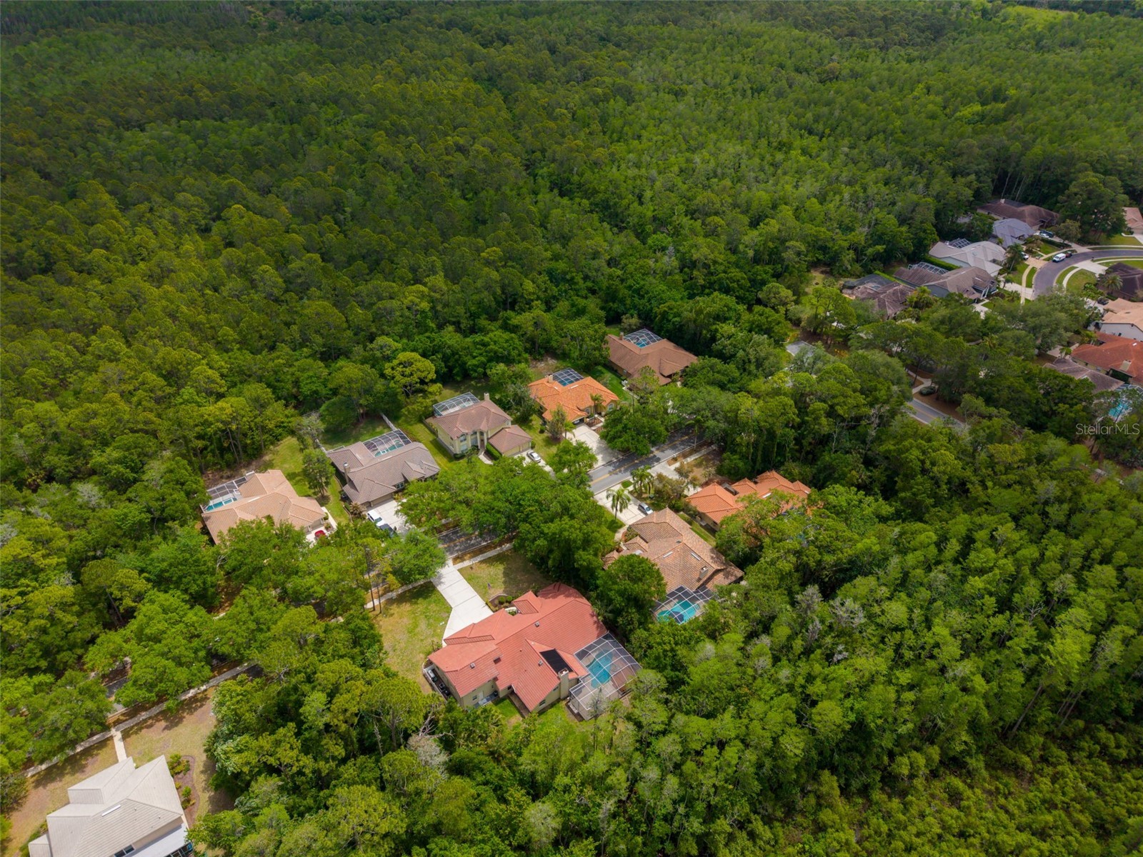 1404 East Lake Woodlands Parkway Oldsmar FL 34677 TB8496474 image77
