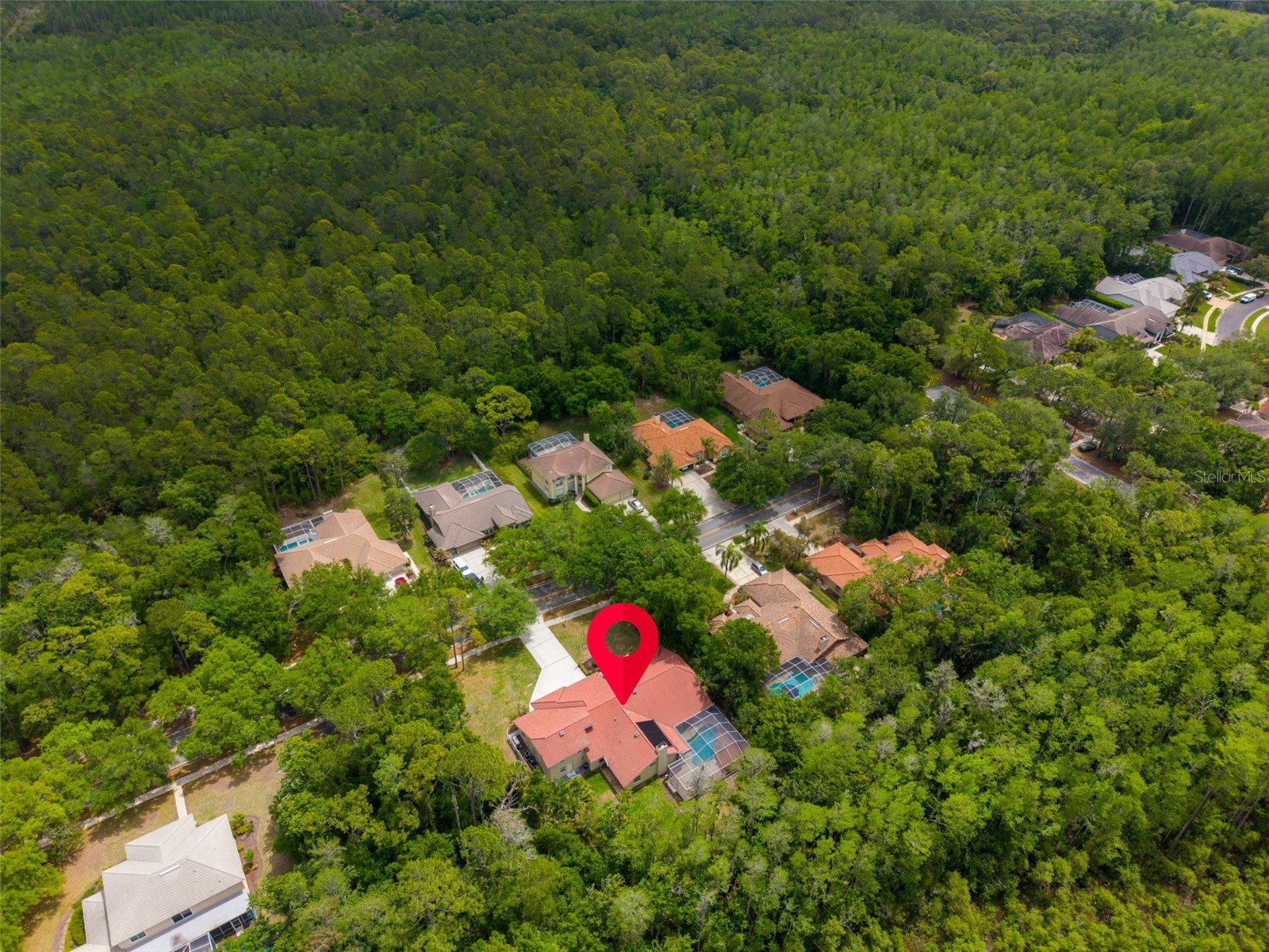 1404 East Lake Woodlands Parkway Oldsmar FL 34677 TB8496474 image78