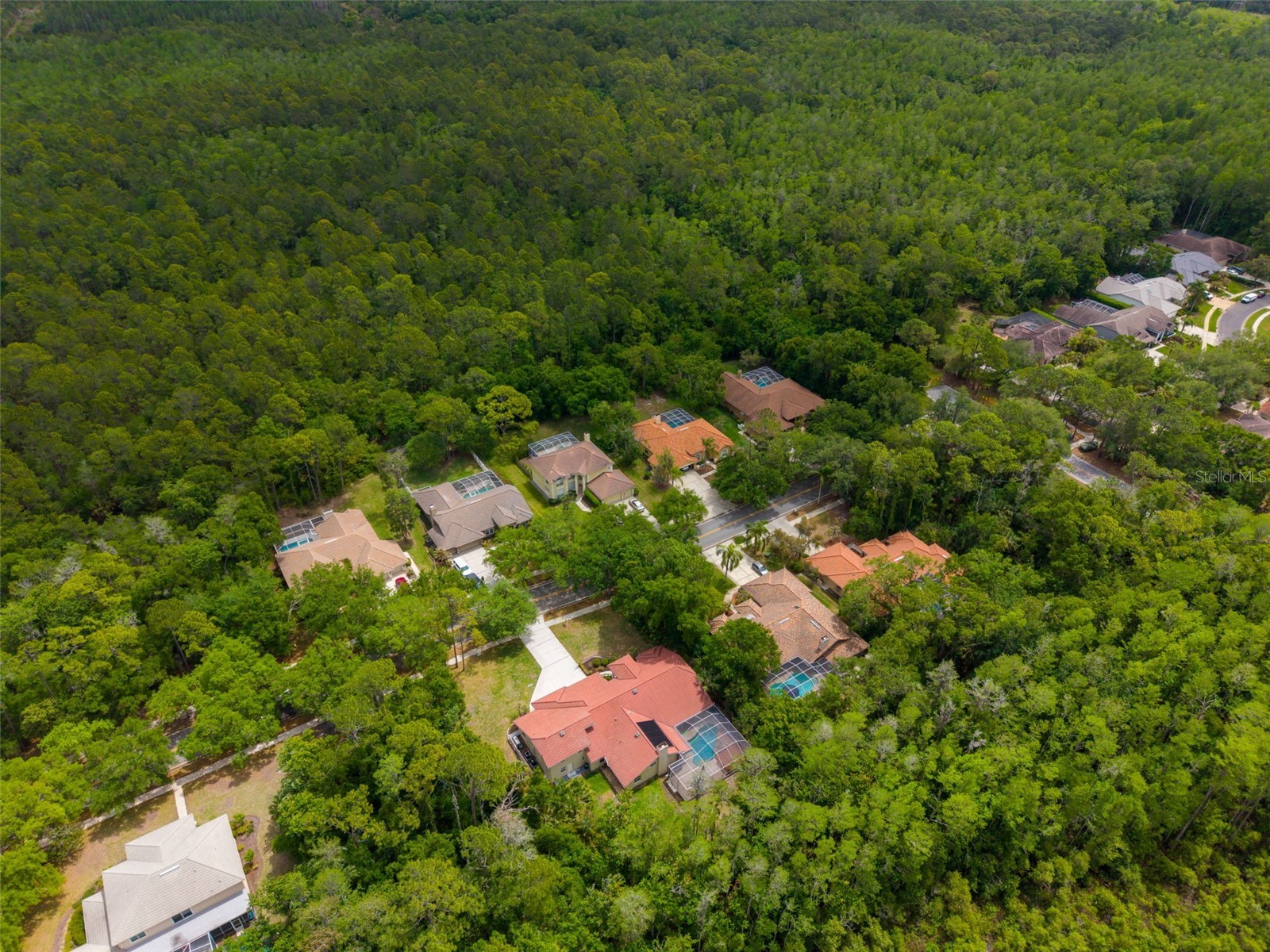 1404 East Lake Woodlands Parkway Oldsmar FL 34677 TB8496474 image79