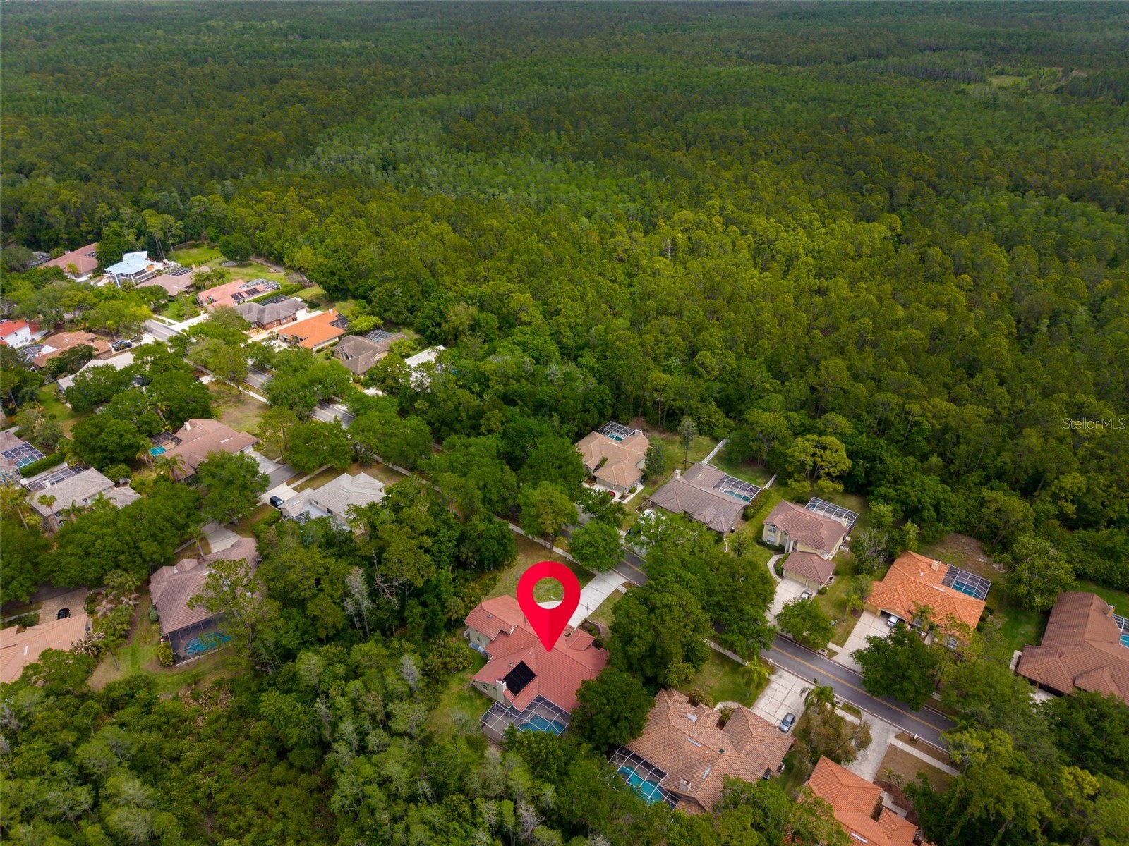1404 East Lake Woodlands Parkway Oldsmar FL 34677 TB8496474 image80