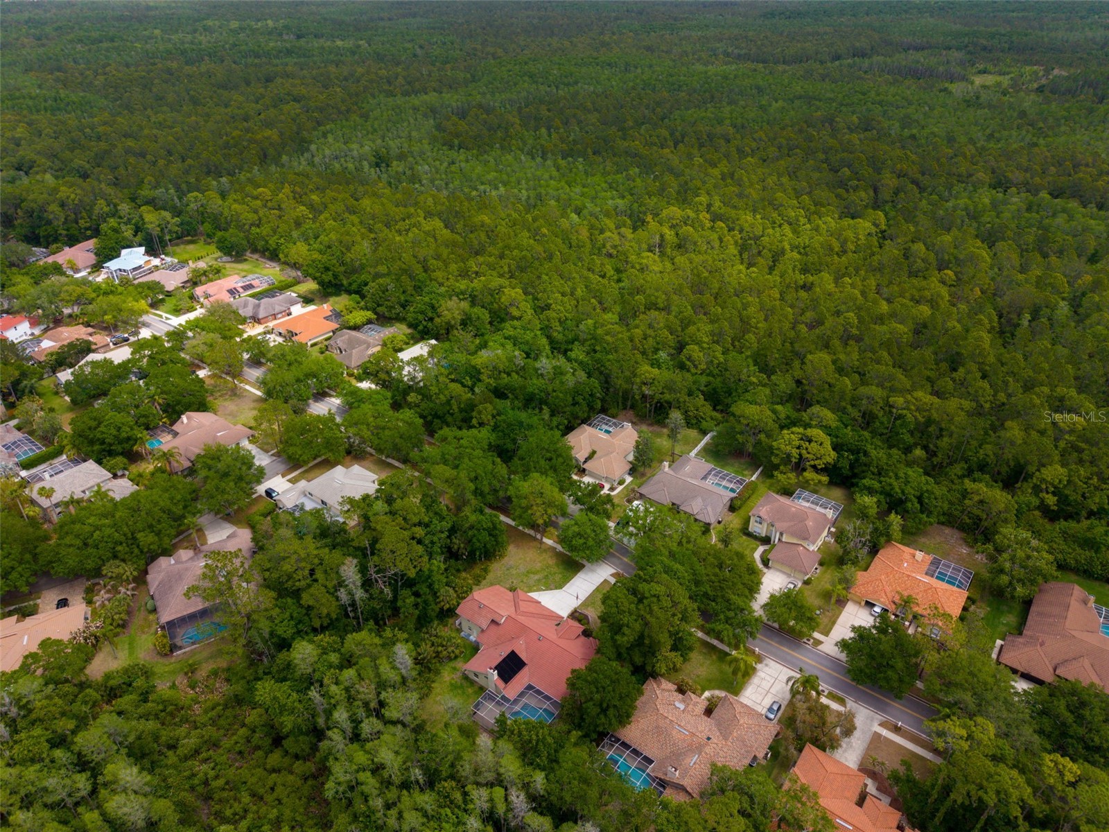 1404 East Lake Woodlands Parkway Oldsmar FL 34677 TB8496474 image81