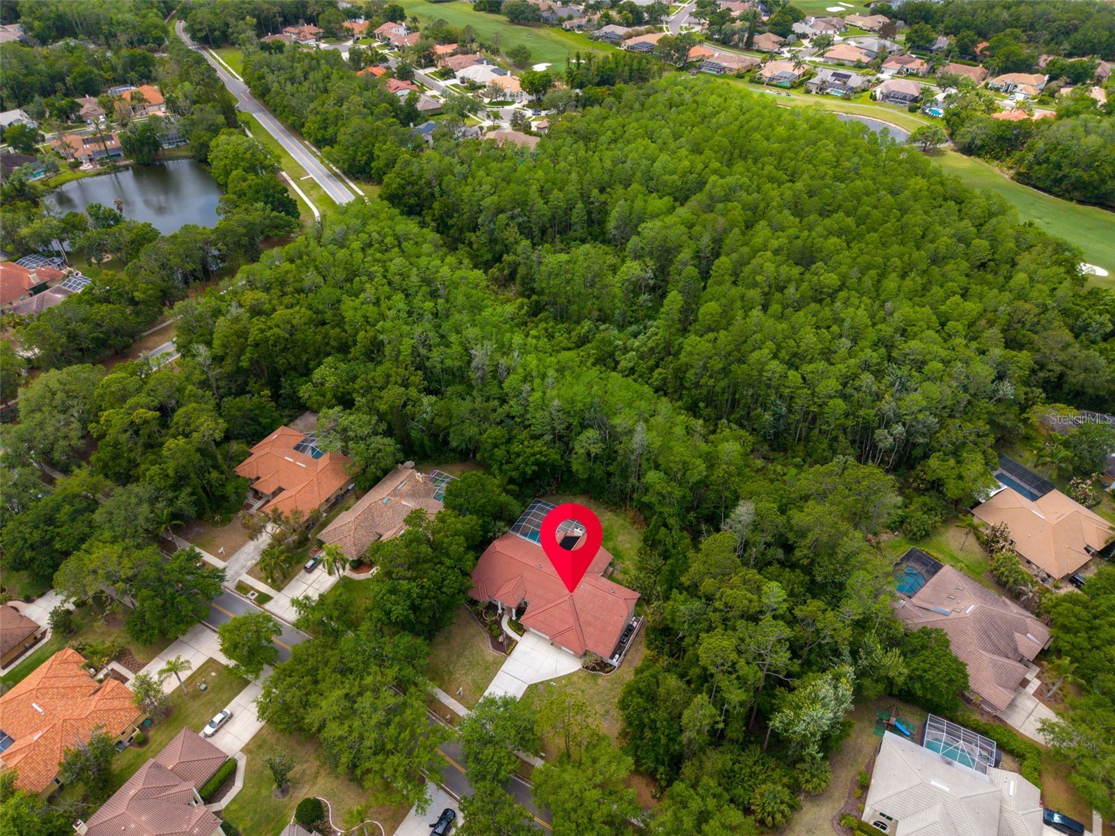 1404 East Lake Woodlands Parkway Oldsmar FL 34677 TB8496474 image82