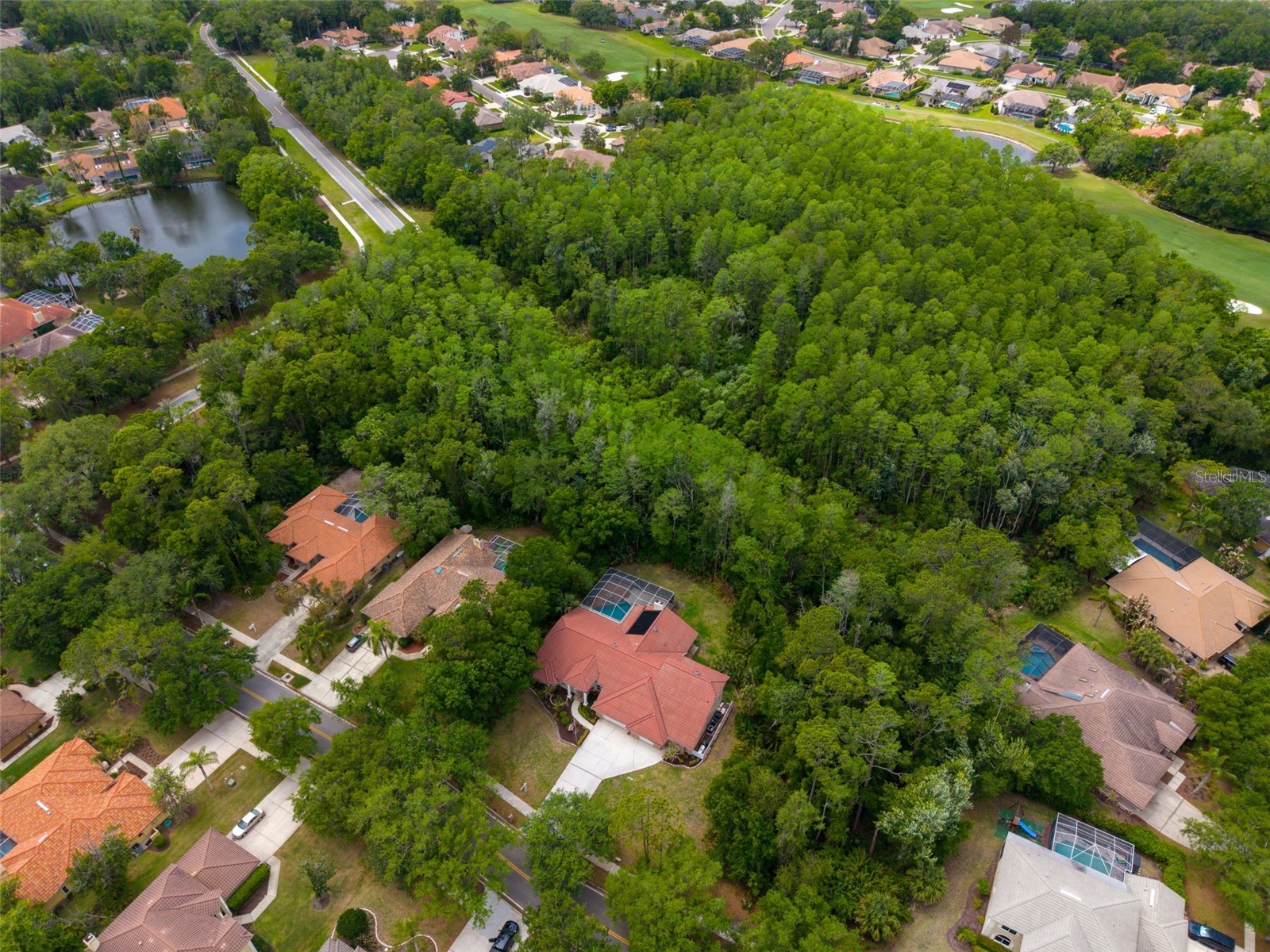 1404 East Lake Woodlands Parkway Oldsmar FL 34677 TB8496474 image83