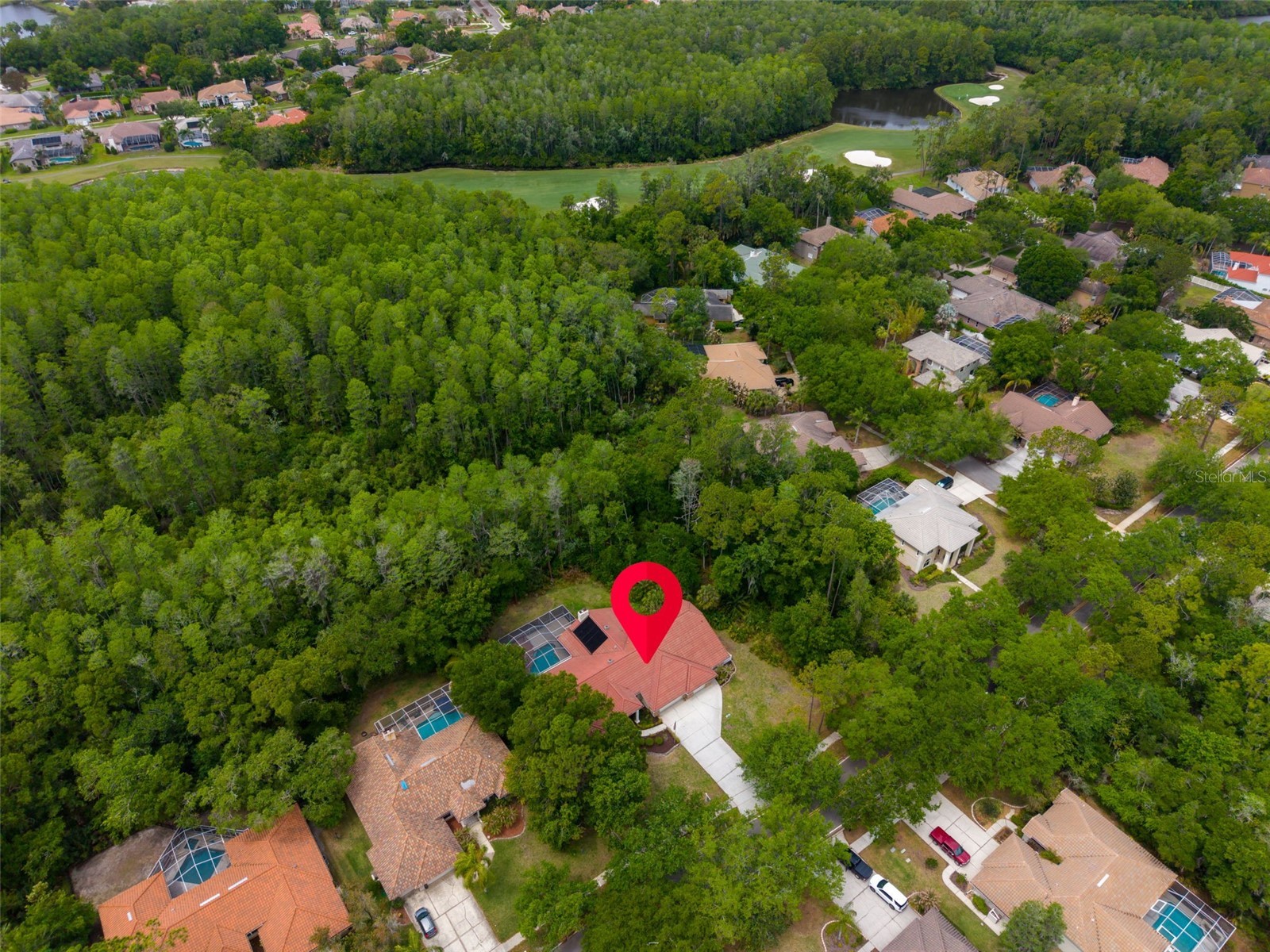 1404 East Lake Woodlands Parkway Oldsmar FL 34677 TB8496474 image84