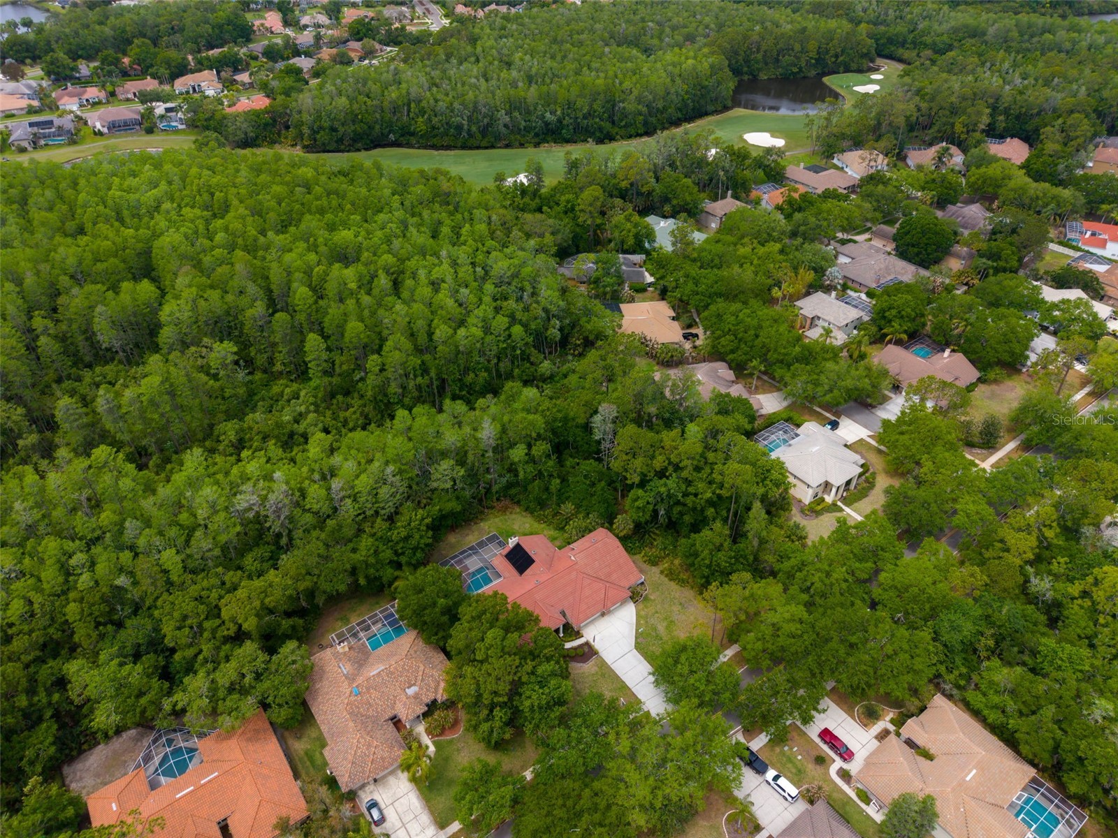 1404 East Lake Woodlands Parkway Oldsmar FL 34677 TB8496474 image85