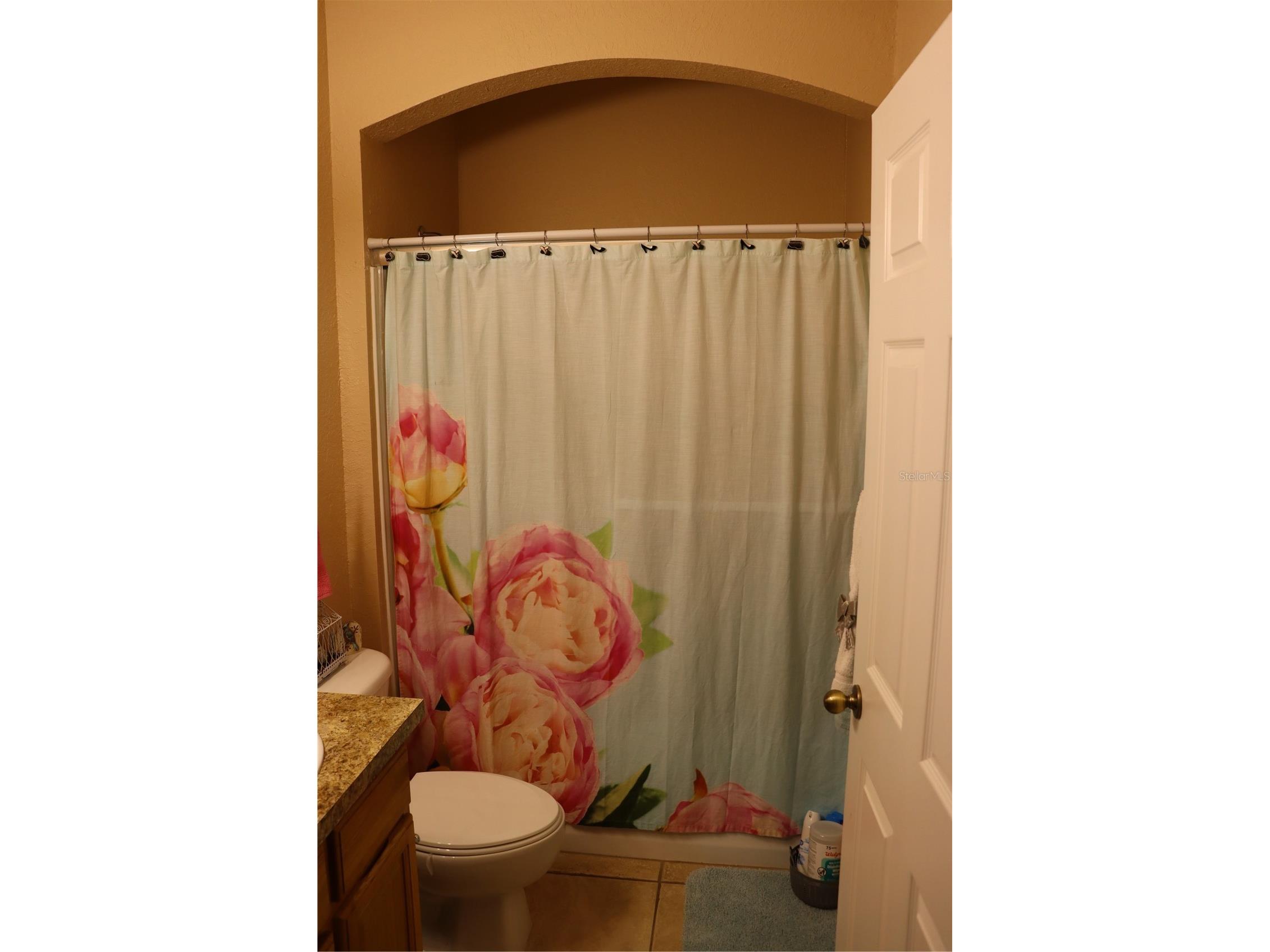 1404 Las Villas Boulevard Sebring FL 33870 P4938093 image12