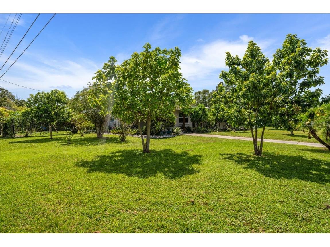 1404 N Palm Drive Plant City FL 33563 TB8424981 image26