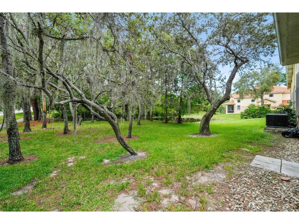1404 Ridge Terrace Tarpon Springs FL 34689 TB8421765 image21