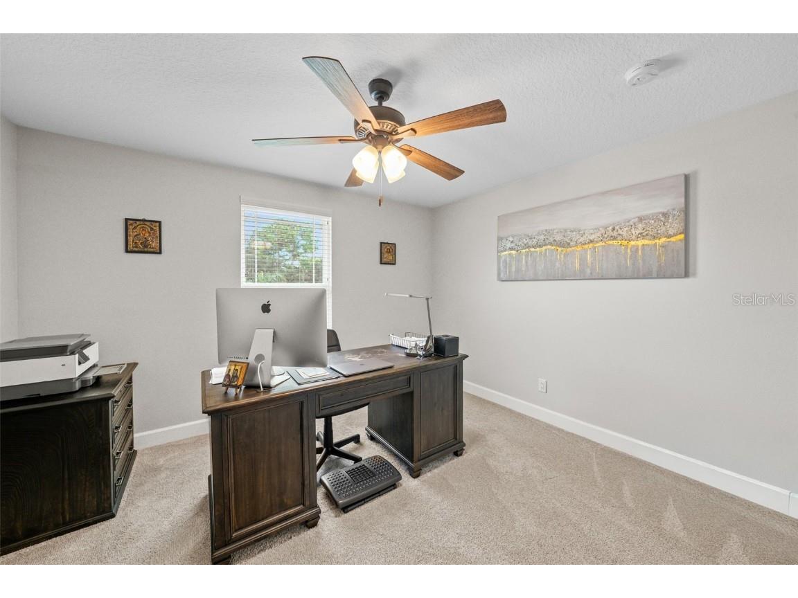 1404 Ridge Terrace Tarpon Springs FL 34689 TB8421765 image26