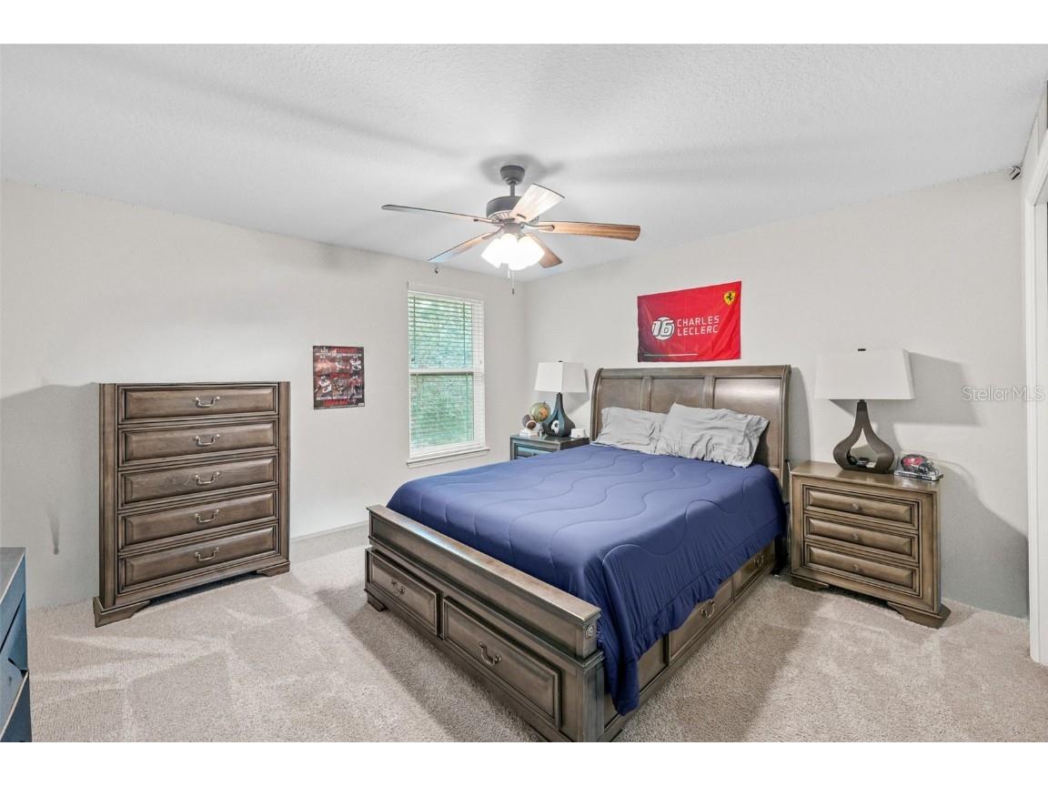 1404 Ridge Terrace Tarpon Springs FL 34689 TB8421765 image28