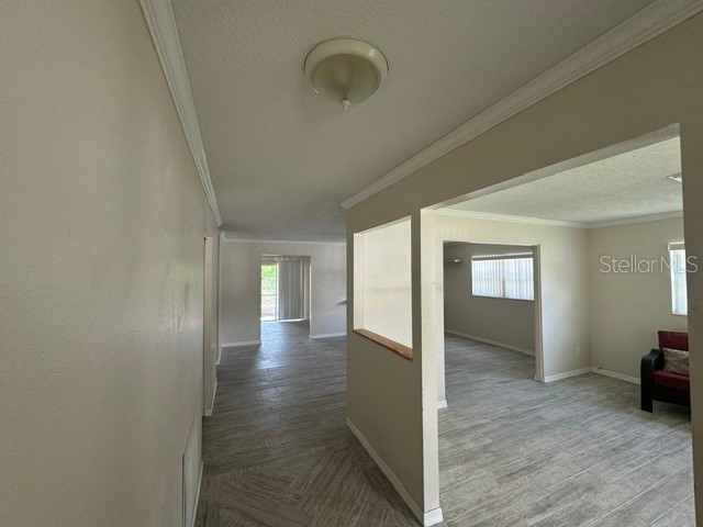 1404 Sandalwood Drive Dunedin FL 34698 TB8511246 image3