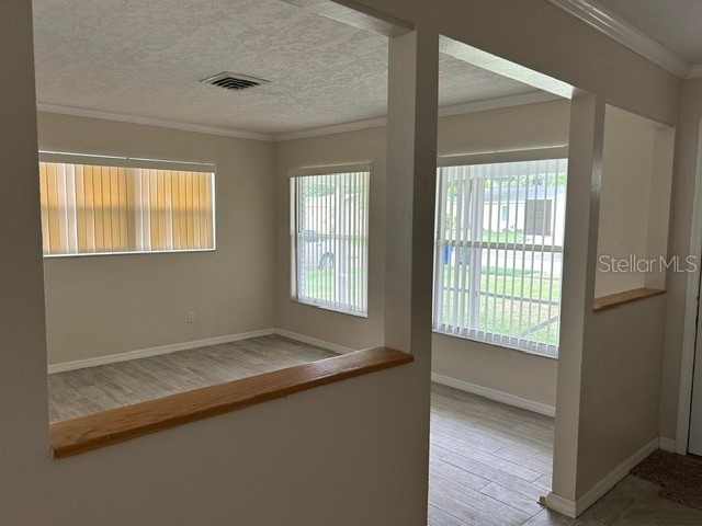 1404 Sandalwood Drive Dunedin FL 34698 TB8511246 image6