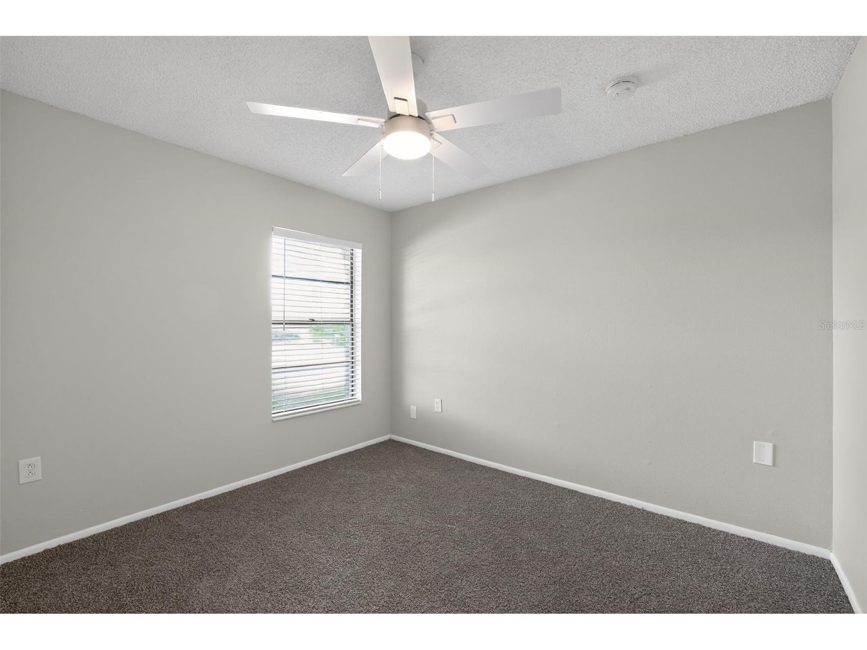 1404 Vinetree Drive Brandon FL 33510 TB8495989 image13