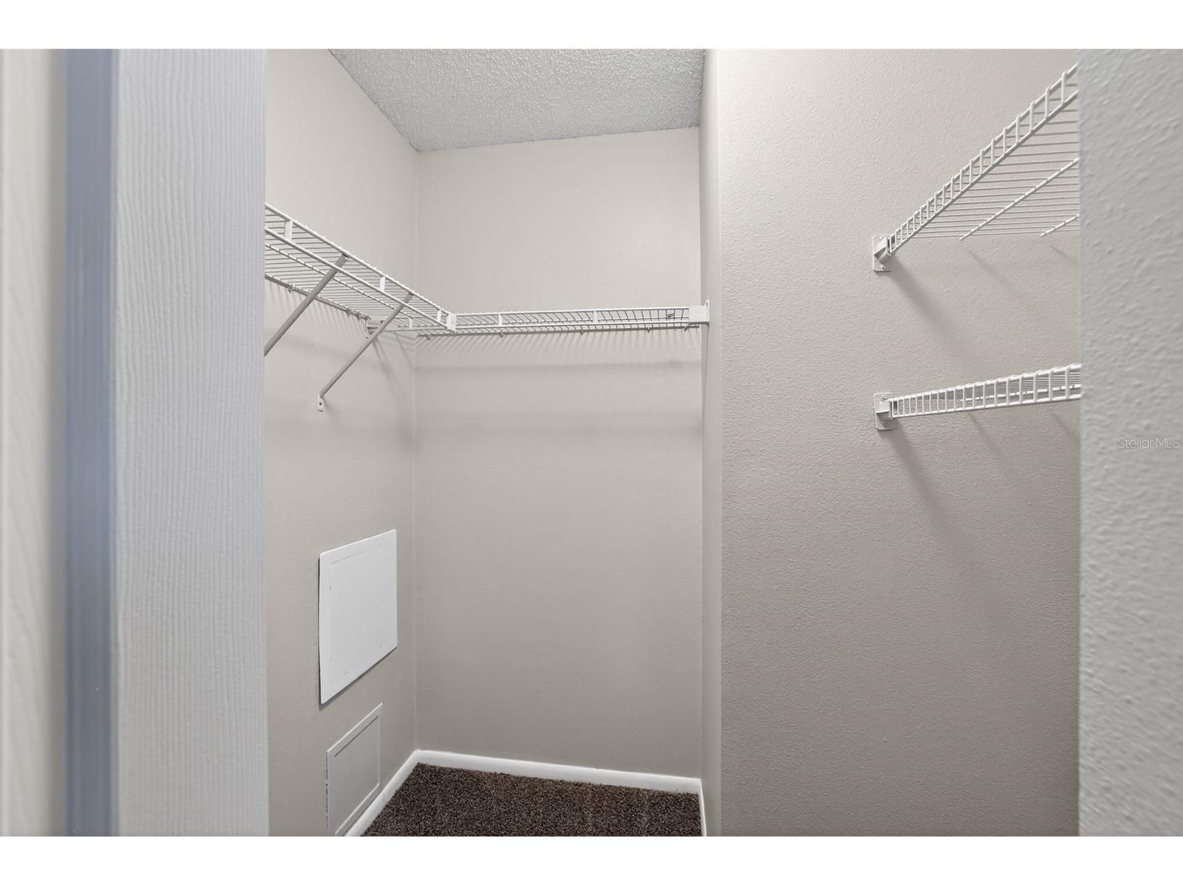 1404 Vinetree Drive Brandon FL 33510 TB8495989 image20