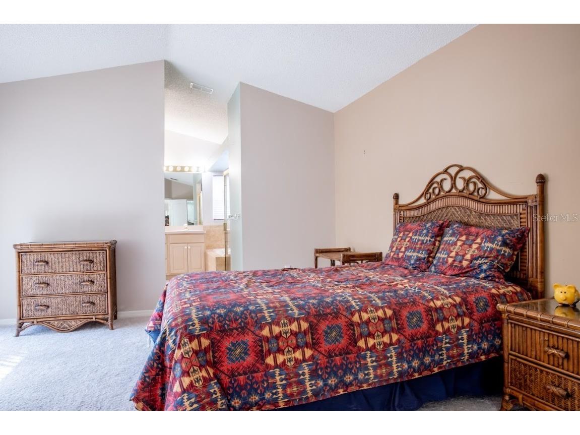 1404 Woodstream Drive Oldsmar FL 34677 TB8320169 image9