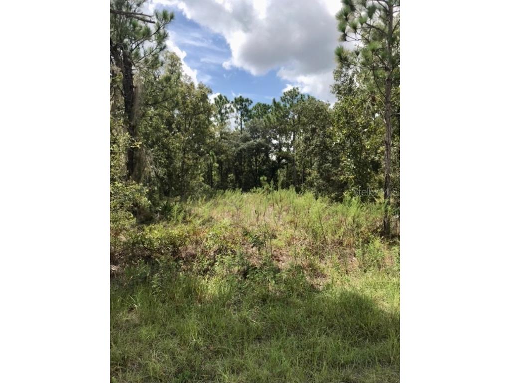 14040 Ruffed Grouse Road Brooksville FL 34614 W7875145 image2