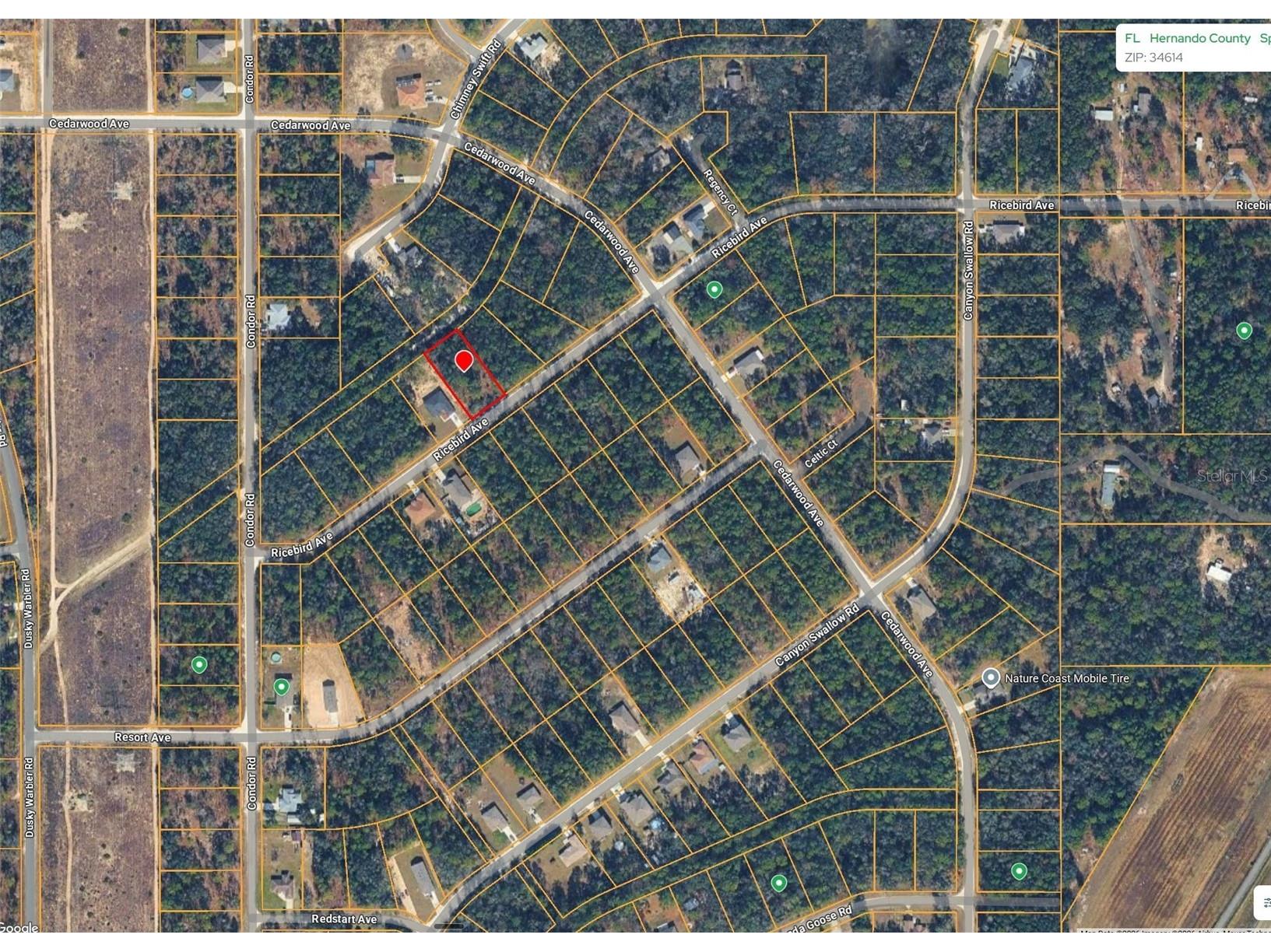 14041 Ricebird Avenue Weeki Wachee FL 34614 TB8510805 image1