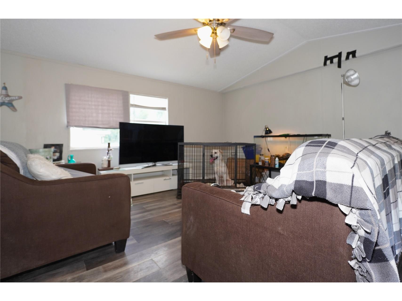 14041 SE 90th Terrace Summerfield FL 34491 OM724615 image6