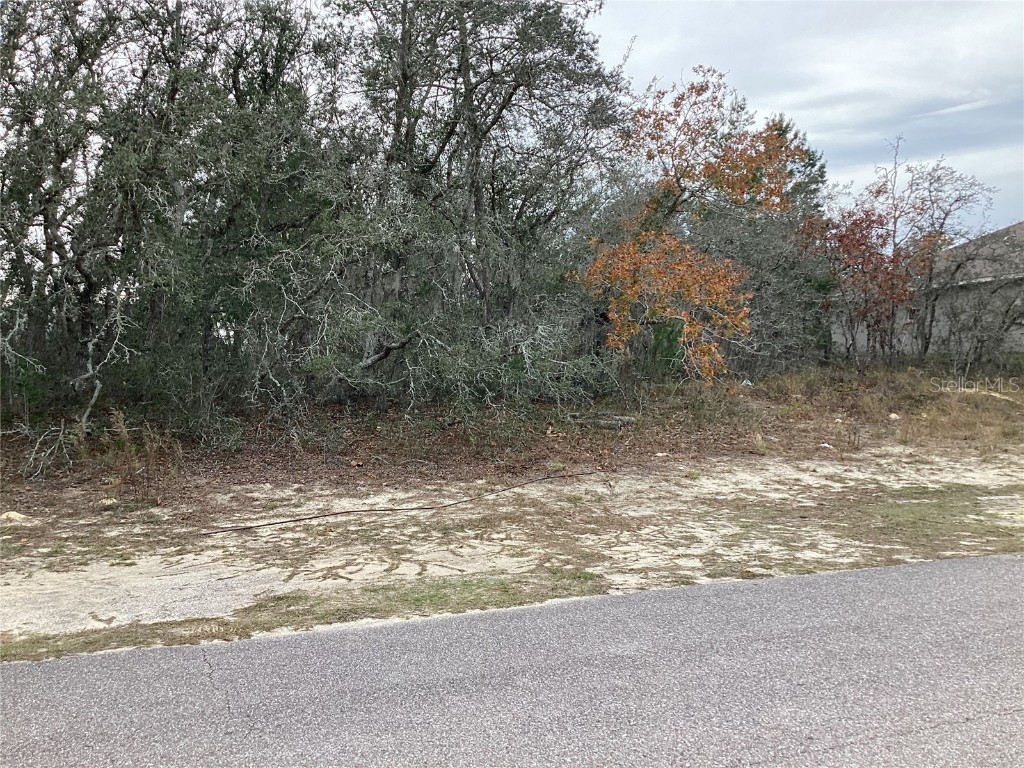 14042 Amero Lane Spring Hill FL 34609 S5097651 image1