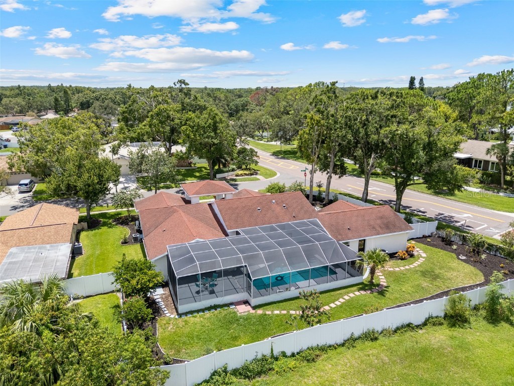 14043 Wolcott Drive Tampa FL 33624 TB8414824 image35