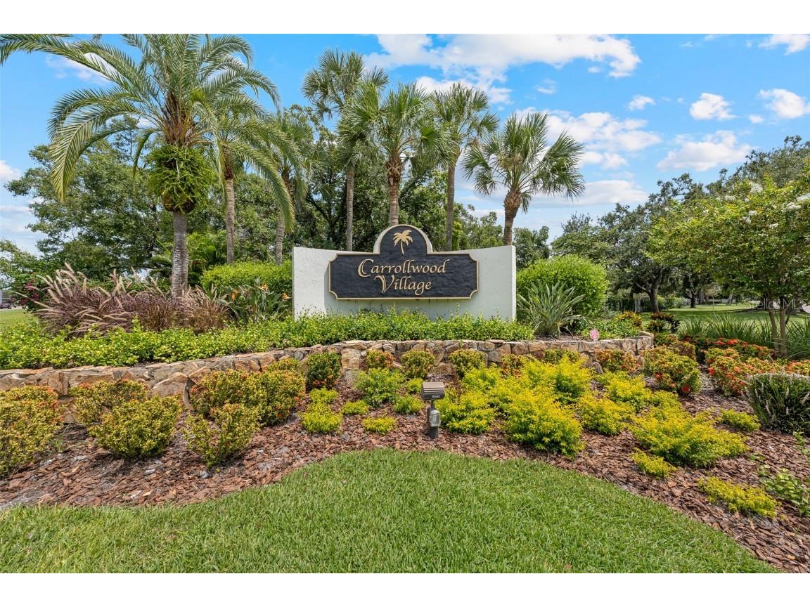 14043 Wolcott Drive Tampa FL 33624 TB8414824 image43