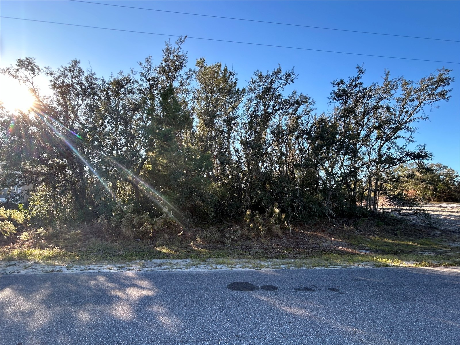 14046 Amero Lane #13 Spring Hill FL 34609 S5116270 image1