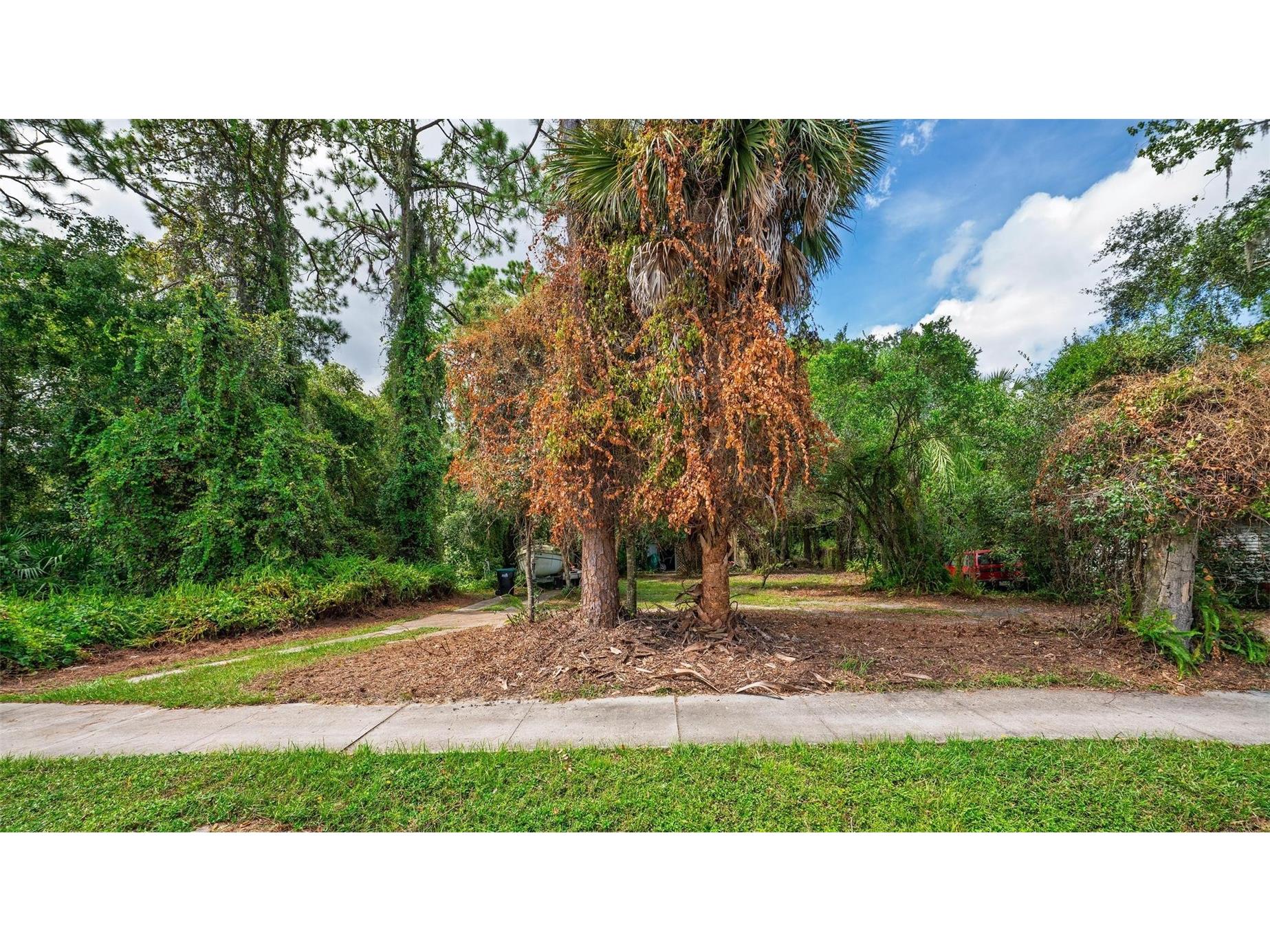 14047 Lake Price Drive Orlando FL 32826 O6346285 image1