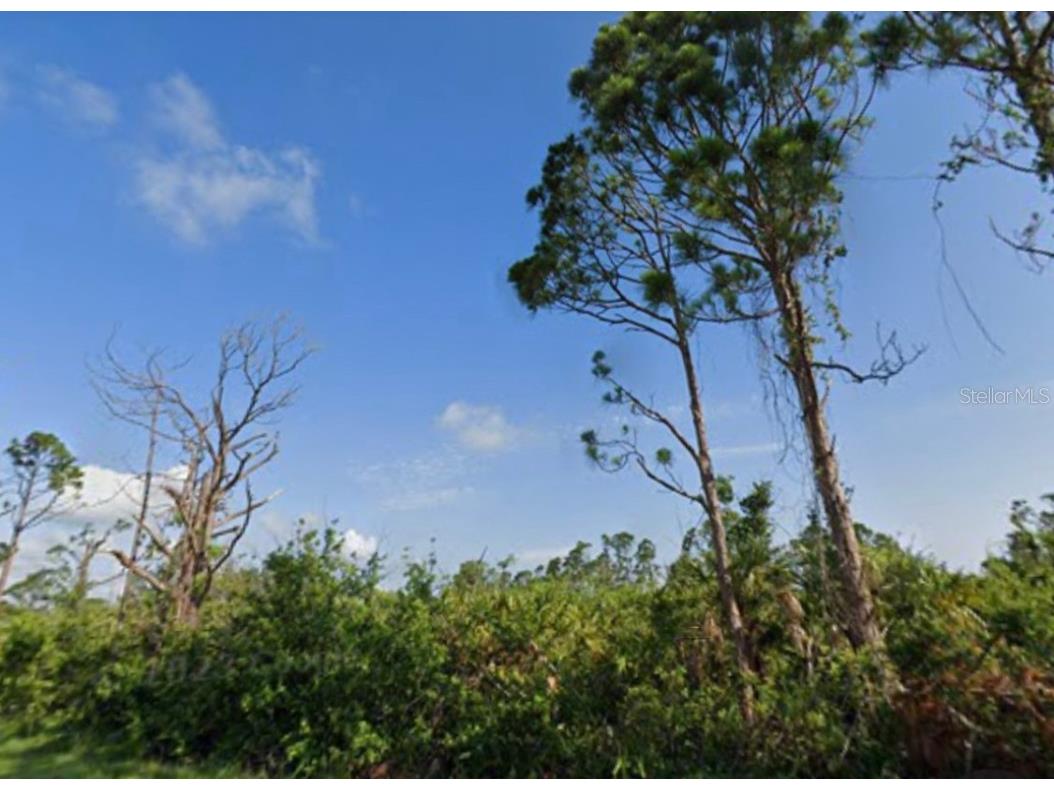 14049 Banos Avenue Port Charlotte FL 33981 C7477531 image1