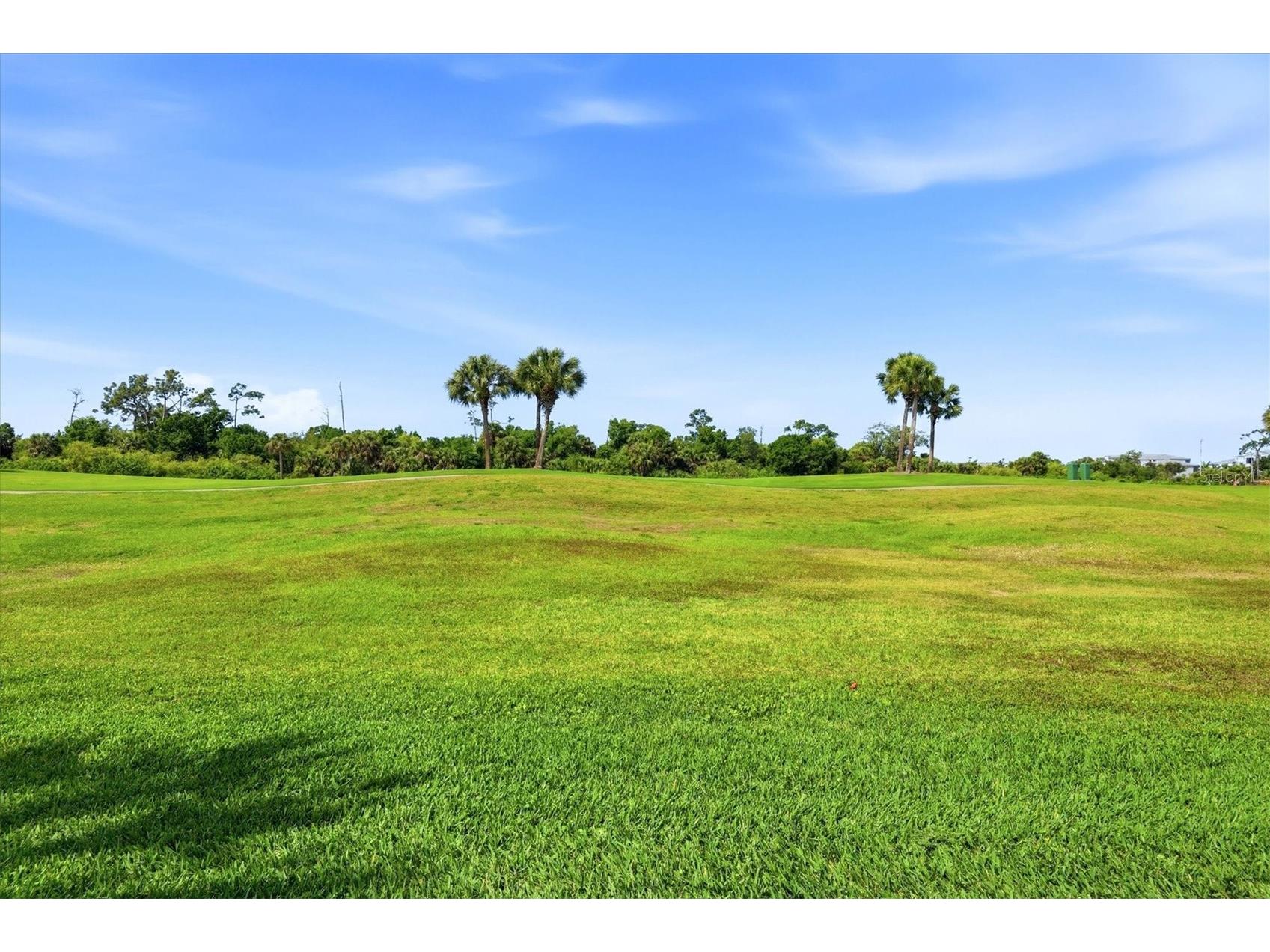 14049 Black Beauty Drive #711 Punta Gorda FL 33955 C7524994 image36