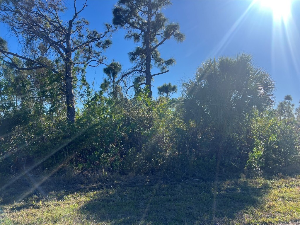 14049 Monserrate Ln Port Charlotte FL 33981 C7506467 image2