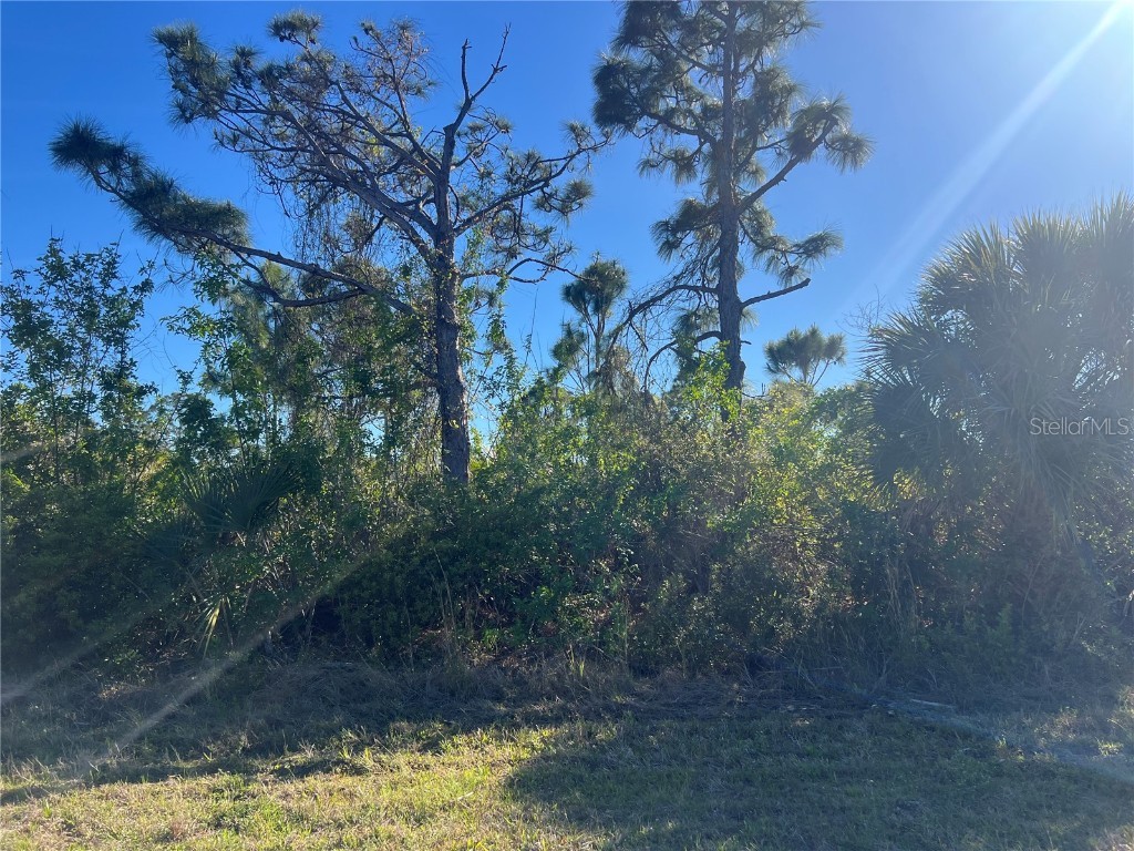 14049 Monserrate Ln Port Charlotte FL 33981 C7506467 image4