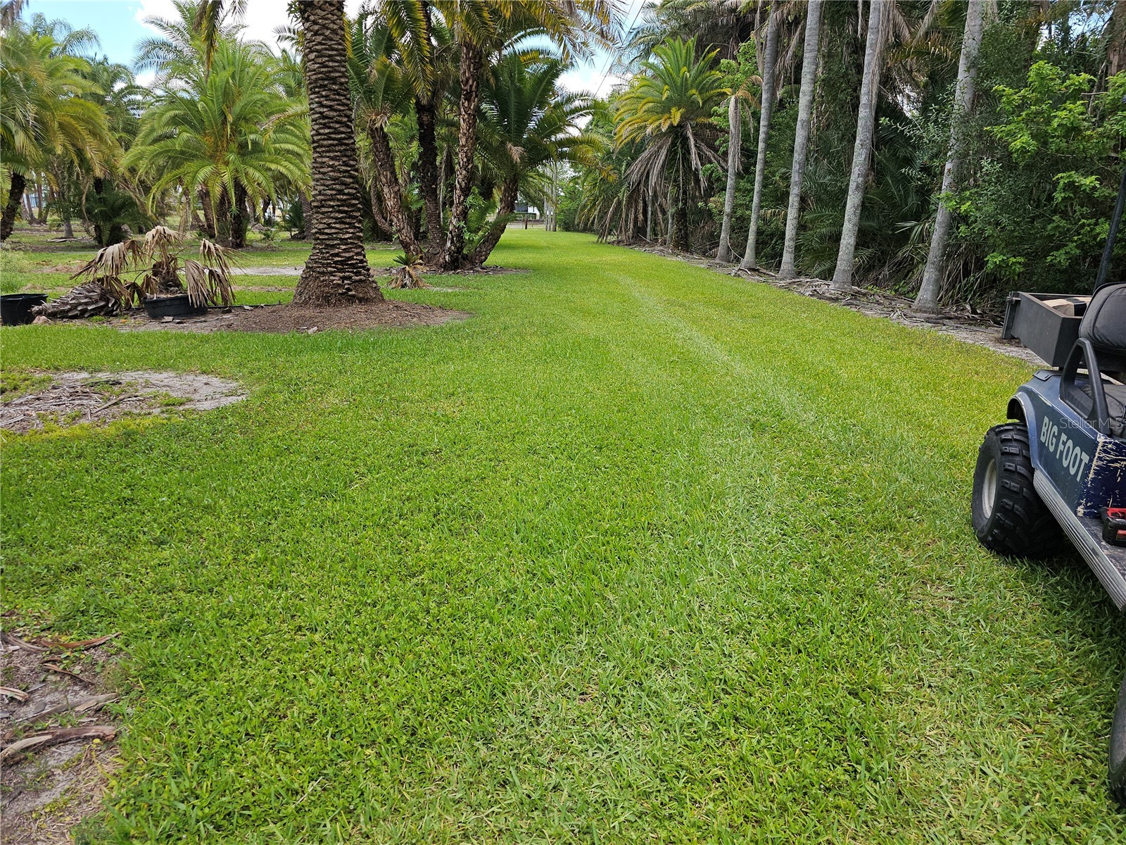 1405 6th Street SE Ruskin FL 33570 TB8509986 image3