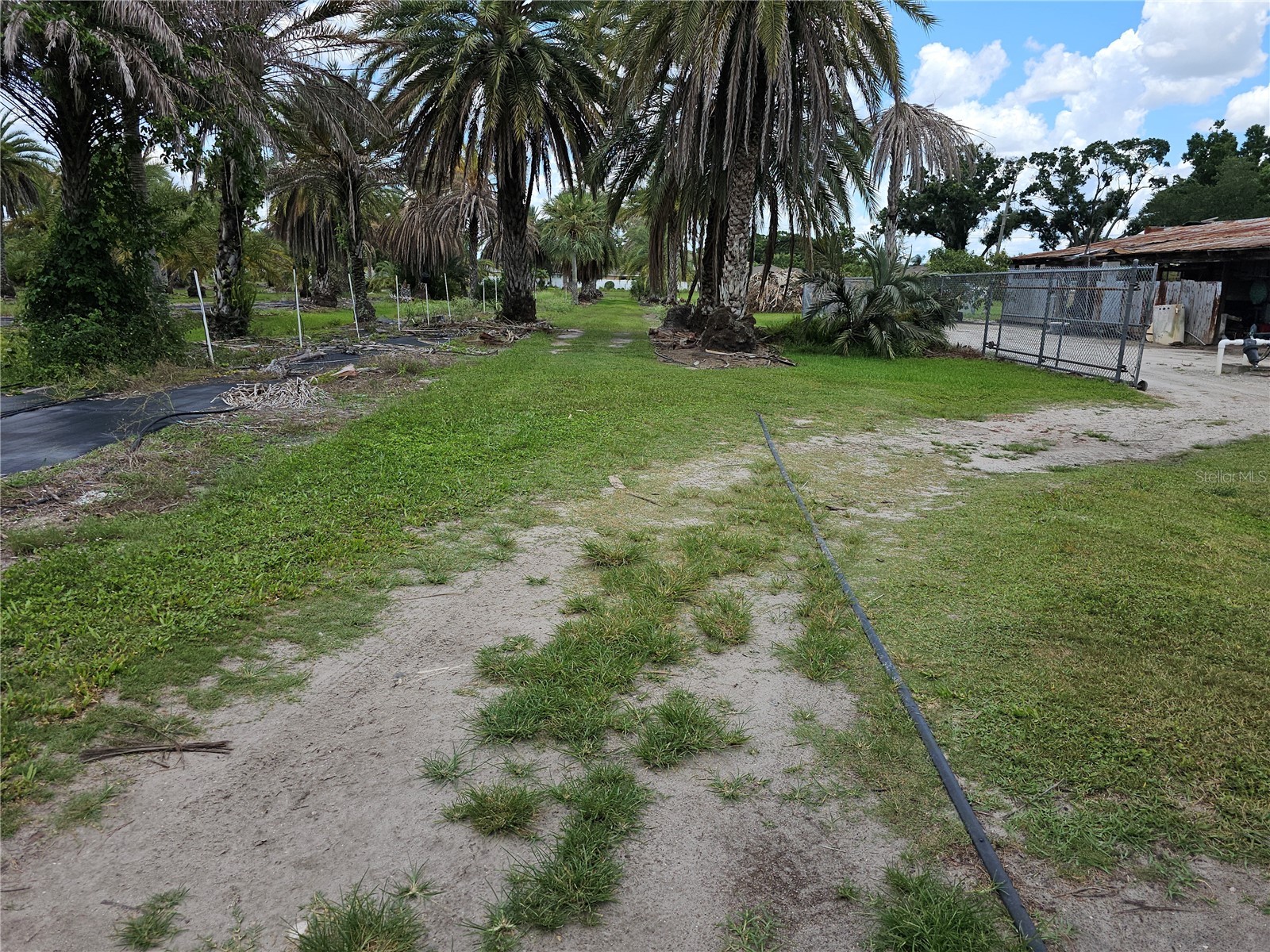 1405 6th Street SE Ruskin FL 33570 TB8509986 image8