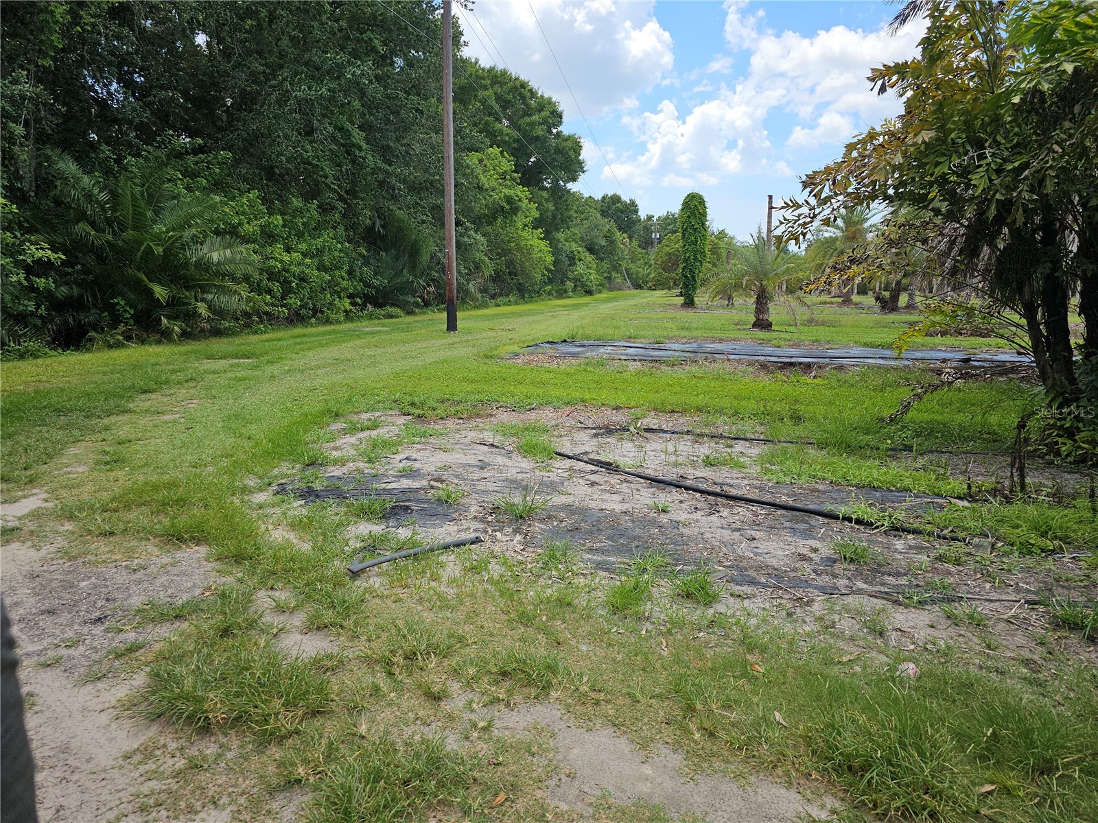 1405 6th Street SE Ruskin FL 33570 TB8509991 image6