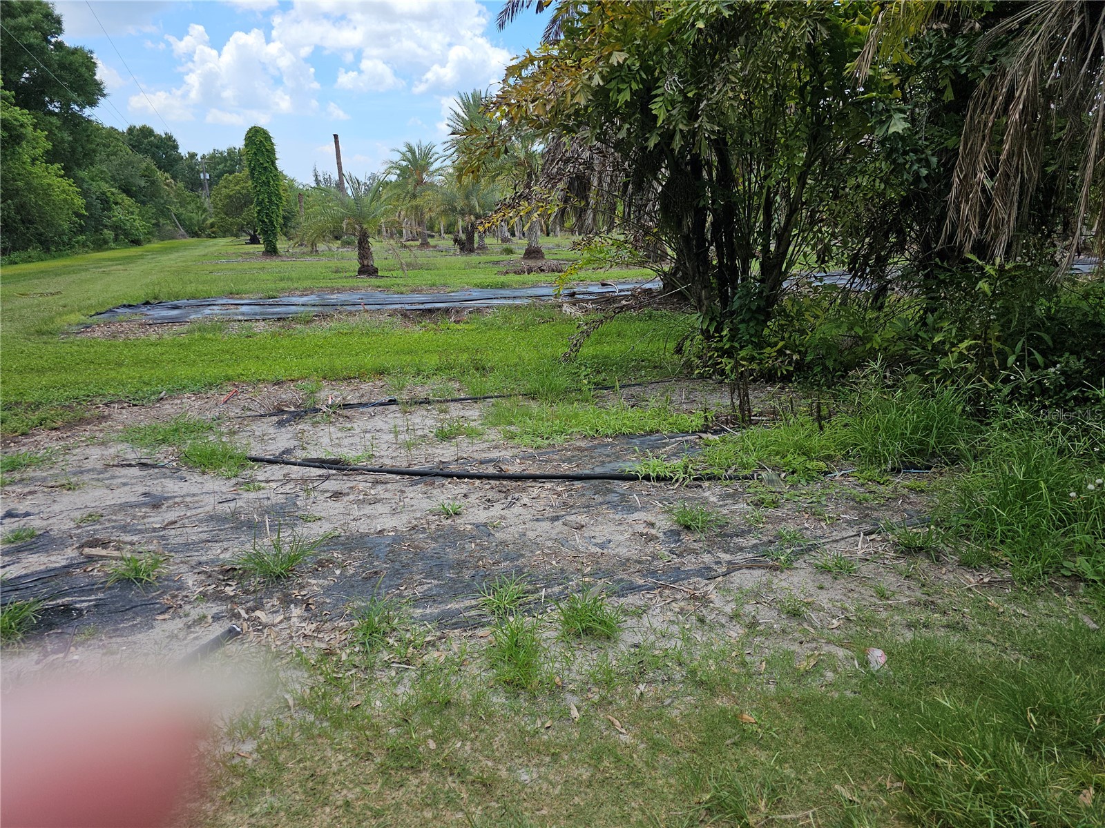1405 6th Street SE Ruskin FL 33570 TB8509991 image7