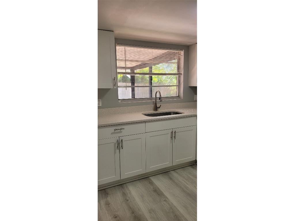 1405 Castleworks Lane Tarpon Springs FL 34689 TB8445114 image7