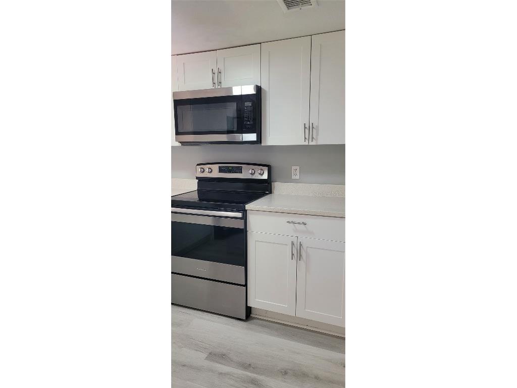 1405 Castleworks Lane Tarpon Springs FL 34689 TB8445114 image8