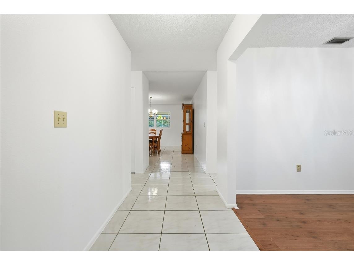 1405 Dolphin Drive Lakeland FL 33801 S5139392 image17